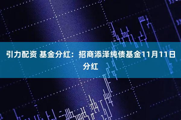 引力配资 基金分红：招商添泽纯债基金11月11日分红